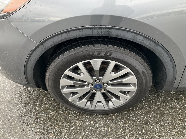 2022 Ford Escape (U12184)