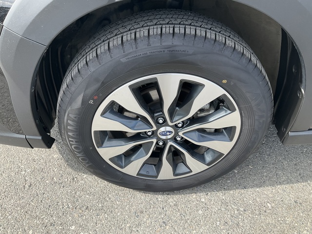 2024 Subaru Outback (U12270)