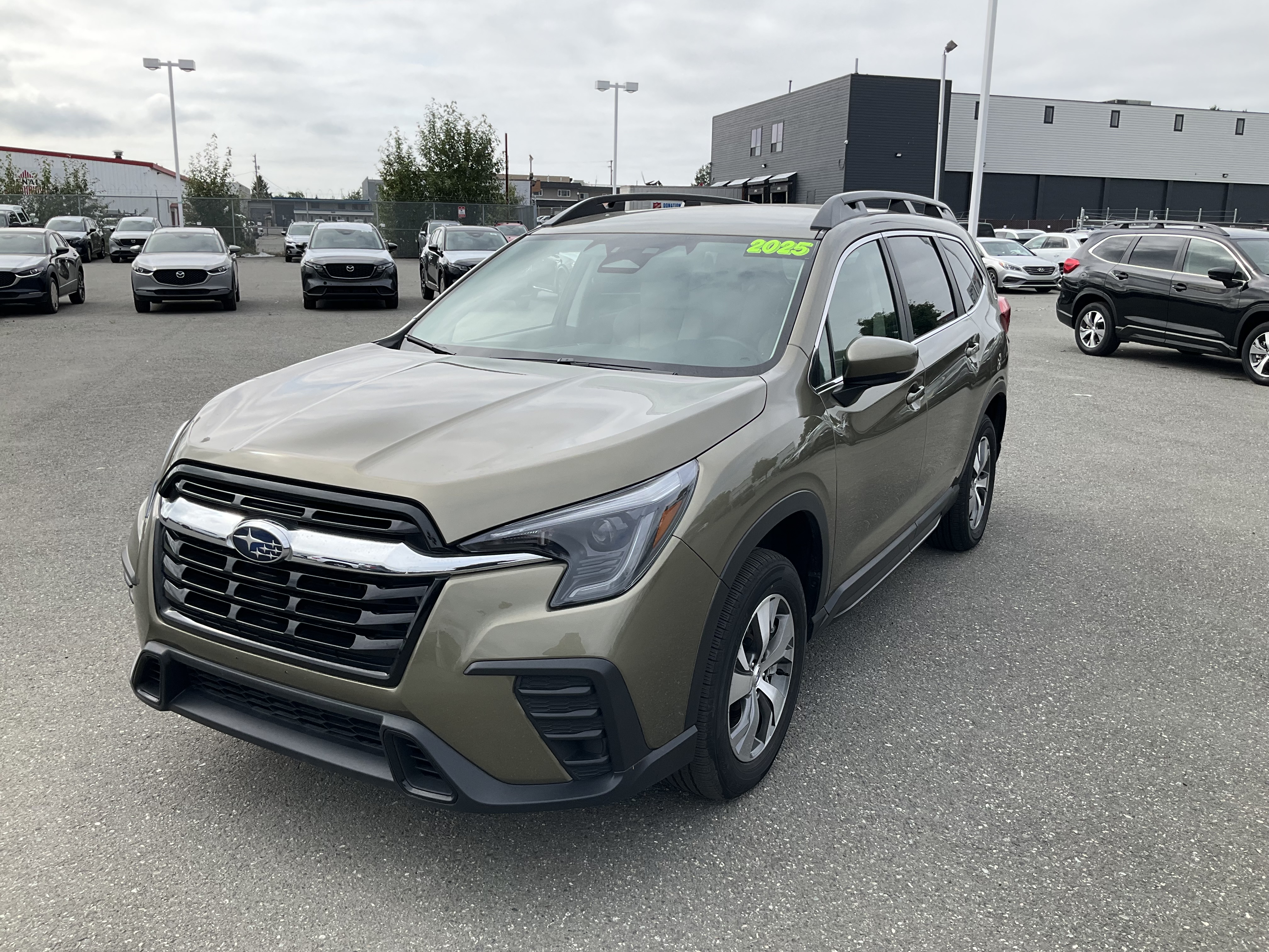 2025 Subaru Outback Wilderness