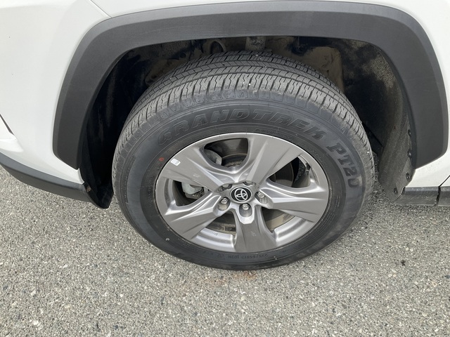 2023 Toyota RAV4 (U77305-1)